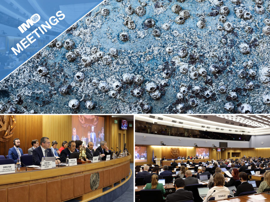 IMO Sub-Committee on Pollution Prevention and Response (PPR 10)